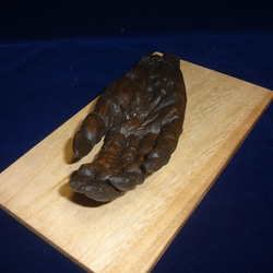 木彫刻 アート 『 鬼の手のミイラ 』 芸術 アート ハンドメイド 松 手彫り 彫刻 9枚目の画像