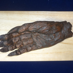木彫刻 アート 『 鬼の手のミイラ 』 芸術 アート ハンドメイド 松 手彫り 彫刻 3枚目の画像