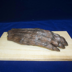 木彫刻 アート 『 鬼の手のミイラ 』 芸術 アート ハンドメイド 松 手彫り 彫刻 6枚目の画像