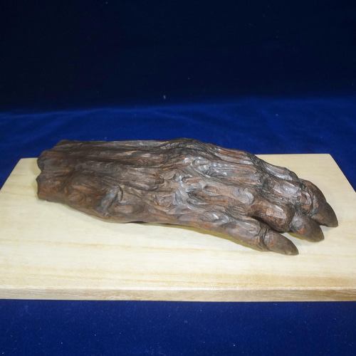 木彫刻 アート 『 鬼の手のミイラ 』 芸術 アート ハンドメイド 松