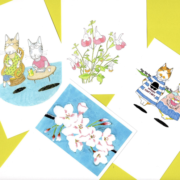 チェリーセージと桜と浮かぶ猫のイラストポストカード4枚セット　　送料無料 1枚目の画像