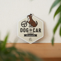 【チワワ E】DOG IN CAR マグネットステッカー 1枚目の画像