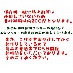  第6張的照片