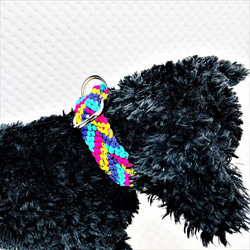 [公式]パラコードマクラメ編み＃146No176ピンク・ブルー・紫・黃まだらの小型犬用首輪 11枚目の画像