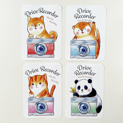 どうぶつドラレコステッカー 2枚目の画像