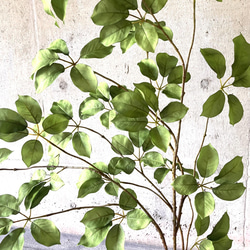光触媒　人工観葉植物　ウォールグリーン　フェイク　アレンジ　ムベブランチ115 3枚目の画像