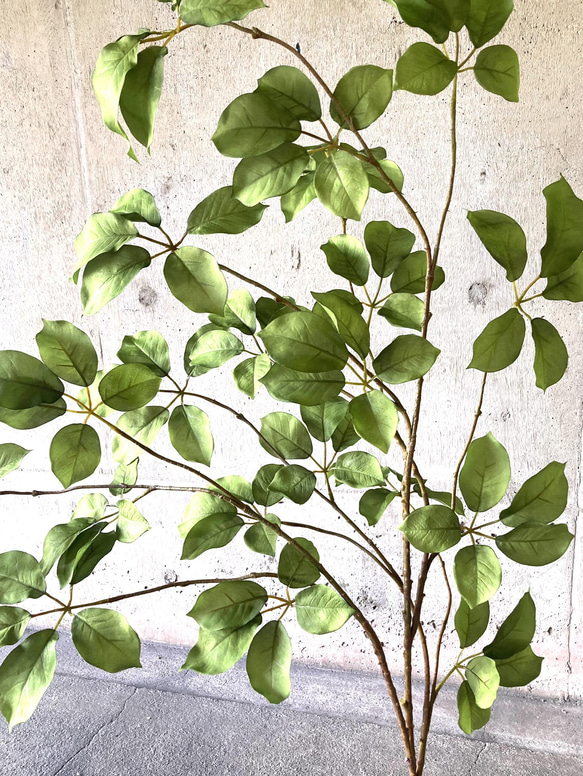 光触媒　人工観葉植物　ウォールグリーン　フェイク　アレンジ　ムベブランチ115 3枚目の画像