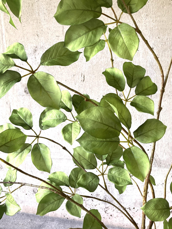 光触媒　人工観葉植物　ウォールグリーン　フェイク　アレンジ　ムベブランチ115 7枚目の画像
