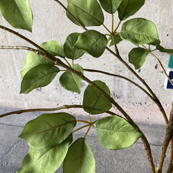 光触媒　人工観葉植物　ウォールグリーン　フェイク　アレンジ　ムベブランチ115 6枚目の画像
