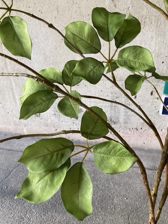 光触媒　人工観葉植物　ウォールグリーン　フェイク　アレンジ　ムベブランチ115 6枚目の画像