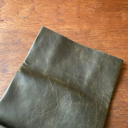 稀有馬皮綠色棕色包餅乾包型手提包 第3張的照片