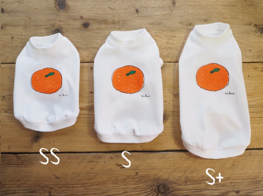 わんちゃん用みかんＴシャツ 犬 DOG わんこ 犬服
