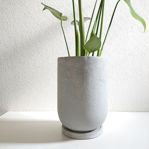 ○現品○新作○ ”モンステラ 鉢/受け皿セット（セメント製）”観葉植物