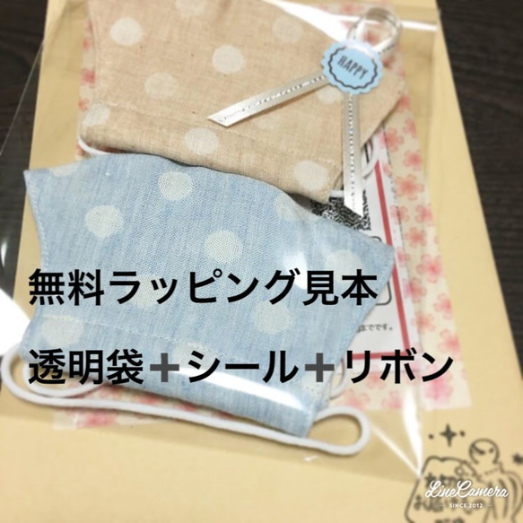 ファスナー付き★薬剤師が作る、大きめお薬手帳ケース★刺繍ブルー★母子手帳ケース★マルチケース★A６、B６ 10枚目の画像