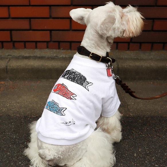 犬服 SS わんこの普段着　くじら 犬服 SS わんこの普段着くじら