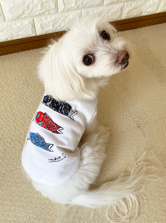 わんちゃん用 こいのぼりＴシャツ 犬 DOG わんこ  犬服 5枚目の画像