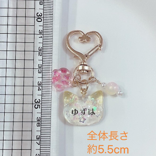 タカママページ　名入れチャーム　レジンキーホルダー5点 名前入れ レジンキーホルダー❁⃘*.ﾟ座札プチギフト