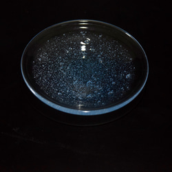 【ガラス】泡沫 -豆皿- ブルー 1枚目の画像