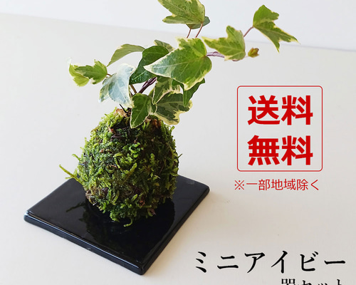 最新作 無骨なアイアン脚2点1セットｋ　イベント什器 　苔玉　ミニ盆栽 最新作 無骨なアイアン脚2点1セットk イベント什器 苔玉 ミニ