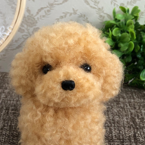 羊毛フェルト アプリコットトイプーちゃん 羊毛フェルト hiromisaku