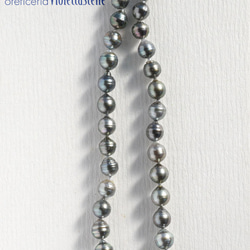 卒業式・入学式に 黒蝶貝真珠のネックレス（シルバーカラー） 6枚目の画像