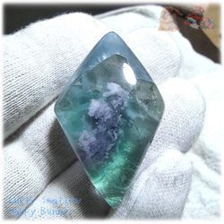 4fe1b498a224e12cbb80a14e965f12