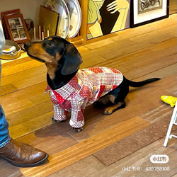 在庫処分セール40% off 犬猫服 犬服  ペット服 犬服 洋服 可愛い 柔らかい ファッション 小中型犬服裏 8枚目の画像