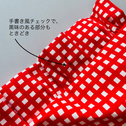 正方形のクッションみたいな 2way フリルトートバッグ Lサイズ　ギンガムチェック 赤×白（コットン） 19枚目の画像