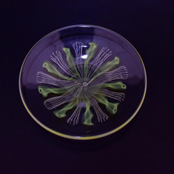 【ガラス】花火 -豆皿- 黄系 4枚目の画像