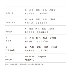 【16枚】[ 希望の表書き&名入れ ] ミニのし紙・A4半分 ｜熨斗 5枚目の画像