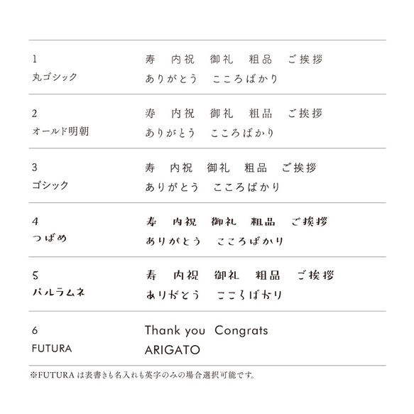 【16枚】[ 希望の表書き&名入れ ] ミニのし紙・A4半分 ｜熨斗 5枚目の画像