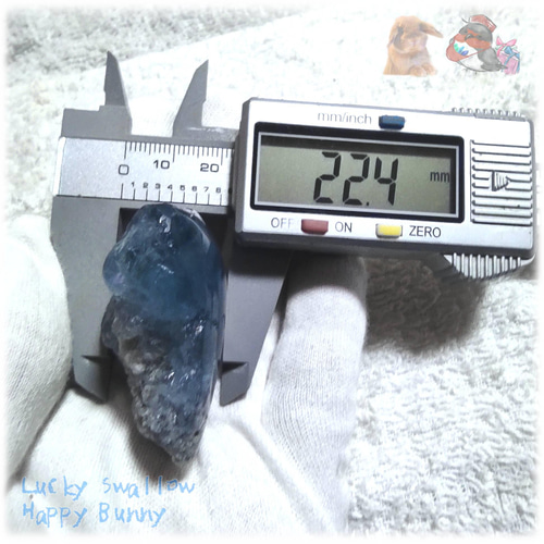 ◇ 磨き標本 秘蔵品 宝石質 特殊希少カラー ブルーフローライト 欠片