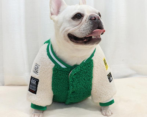 a11bd50d9dff8fe9eb026a44282611