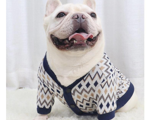 犬服 冬服新作 ダウン ベスト フレンチブルドッグ パグ ボストンテリア