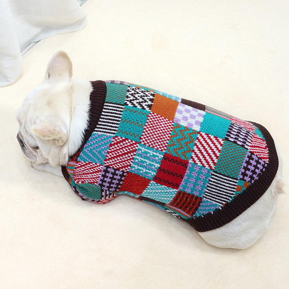 犬服　冬服新作　セーター　トイプードル　チワワ　柴犬　マルチーズ　ポメラニアン 4枚目の画像