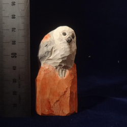木彫刻 アート『 シマエナガ 』　鳥　動物　芸術 アート  手彫り　松 7枚目の画像