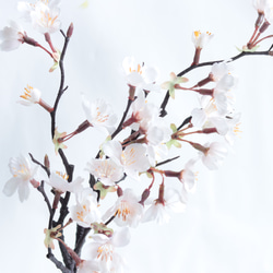 【光触媒で抗菌&消毒・水替不要】桜の富士ガラスアレンジ 6枚目の画像
