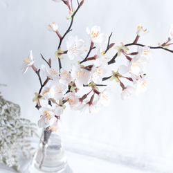 【光触媒で抗菌&消毒・水替不要】桜の富士ガラスアレンジ 4枚目の画像