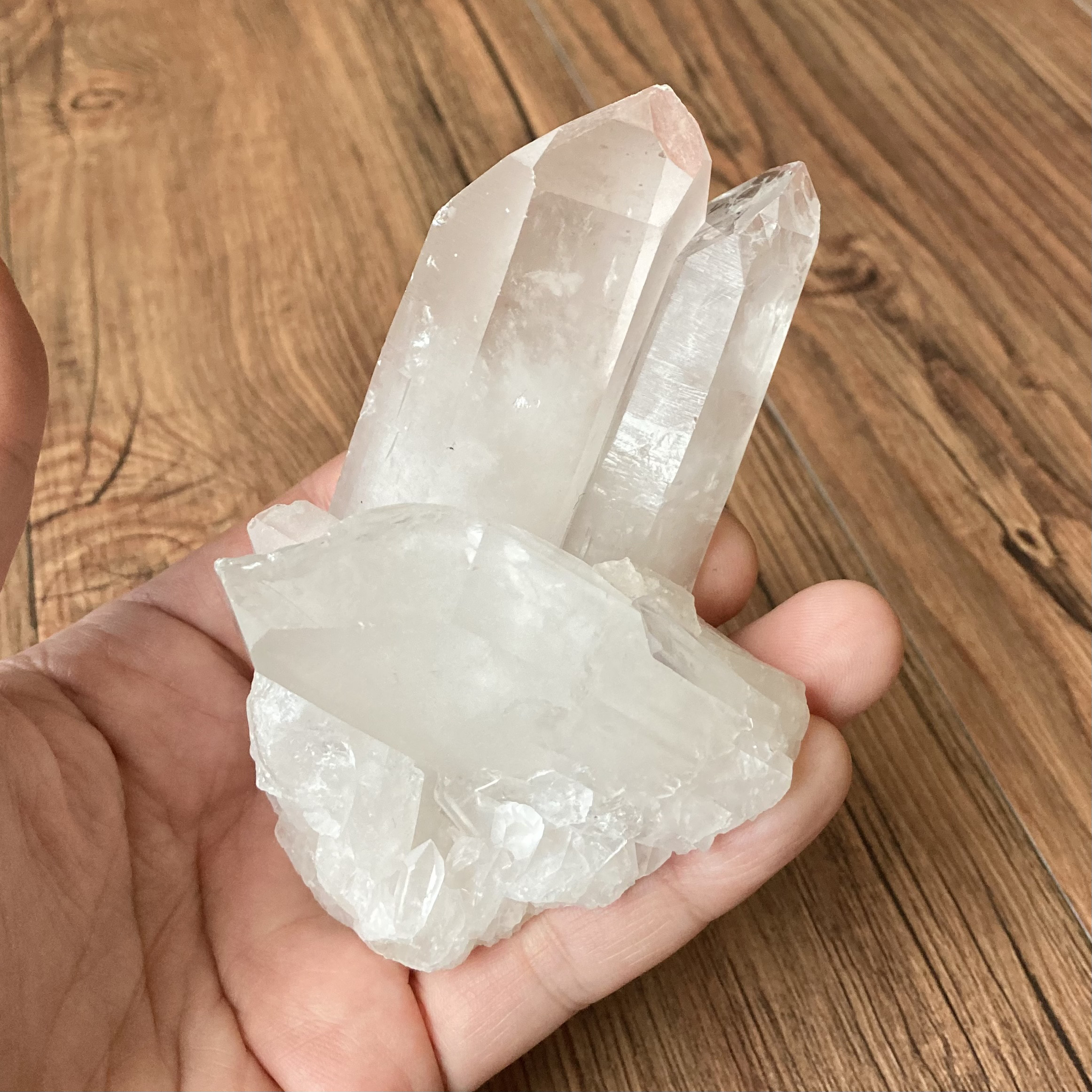 1015 バンブーアゲート 『石筍』 1015 バンブーアゲート 『石筍