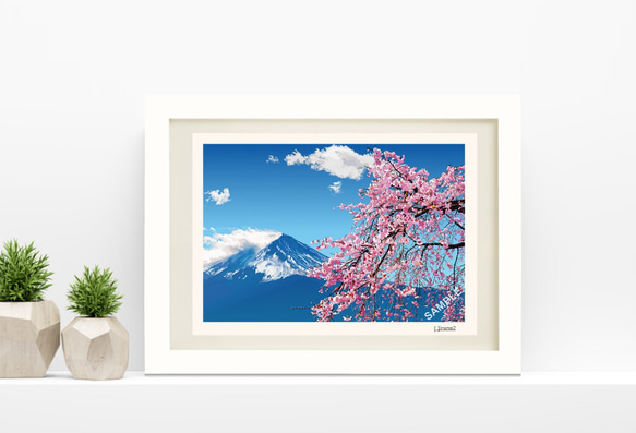 【匿名配送】絵画　「桜」　A4サイズ額つき A4サイズ「桜と富士山」 絵画 hiroma2 通販 13243107｜Creema