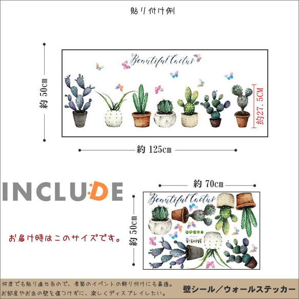 251 ウォールステッカー 壁ステッカー  サボテン 多肉植物 SABOTEN 南米 大陸 ペルー チリ アルゼンチン 3枚目の画像