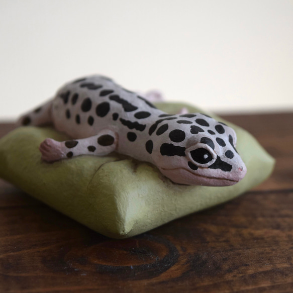 Sleeping Leopard gecko-Mack snow 第8張的照片