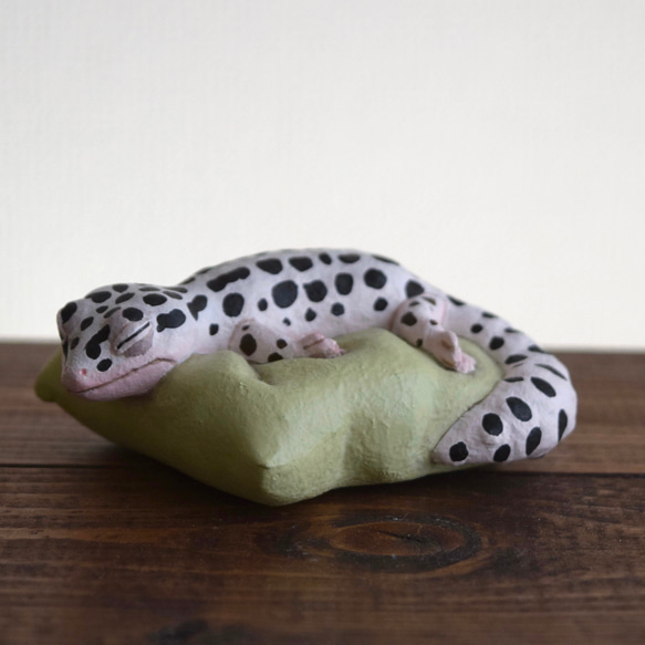 Sleeping Leopard gecko-Mack snow 第2張的照片