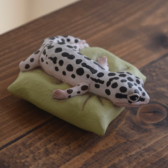 Sleeping Leopard gecko-Mack snow 第3張的照片
