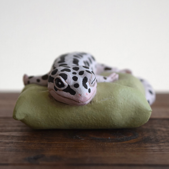Sleeping Leopard gecko-Mack snow 第7張的照片