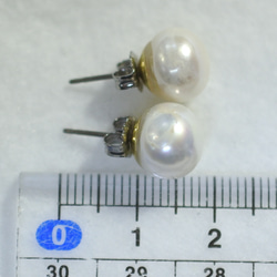 (1 件 / 出口) 淡水珍珠單耳環 (10mm / 鈦柱) 第5張的照片