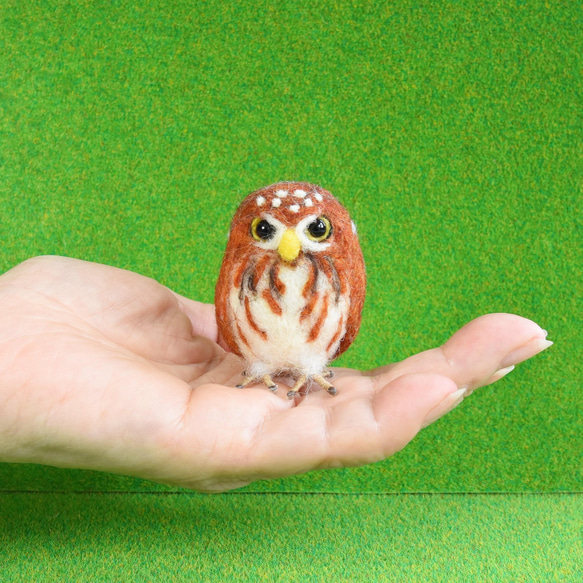 プレゼントとまり木付き！】羊毛置物ふくろうさん【種類: アカスズメ 