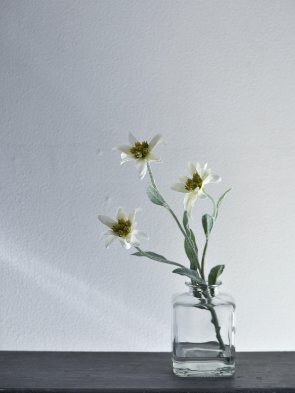 咲き続けるエーデルワイス(角ガラス)　マジカルウォーター　癒しのフラワーインテリア　アーティフィシャルフラワー 2枚目の画像