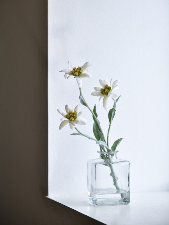 咲き続けるエーデルワイス(角ガラス)　マジカルウォーター　癒しのフラワーインテリア　アーティフィシャルフラワー 3枚目の画像
