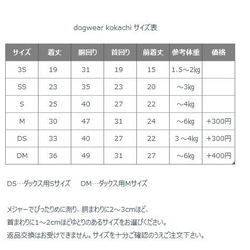  第9張的照片